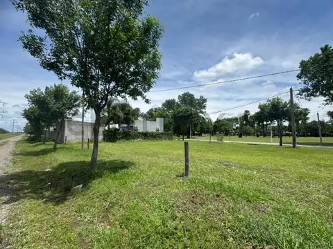 VENTA TERRENO EN RICARDONE