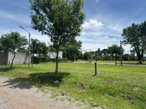 Terreno en Venta 20  mts Fondo