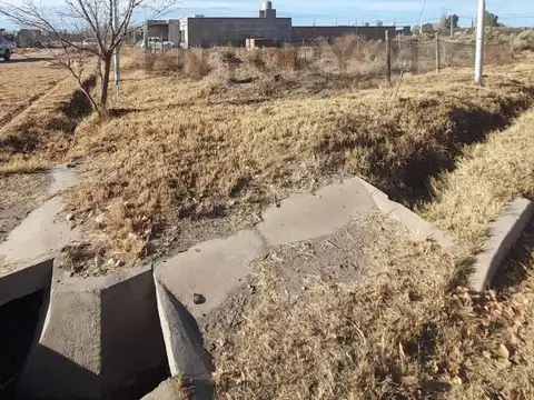 Tierra de Huarpes 1600, Piso 0