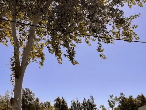 Terreno en Venta de 520,0 m2