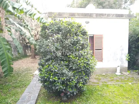 Carlos Pellegrini 2500