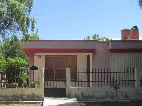 Leopoldo Lugones 100