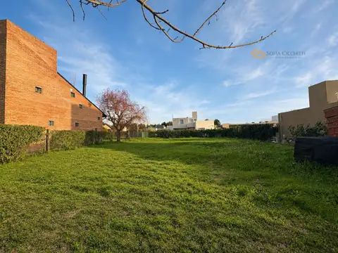 VENTA LOTE-ROLDAN-LIMITE CON FUNES-  EL MOLINO