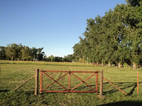 Hermosos lotes El Candil