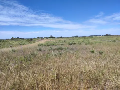 29,4 Hectareas en Cucullu San Andres de Giles