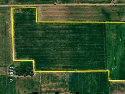 Campo agrícola 180 ha en zona núcleo, Theobald, Santa Fe