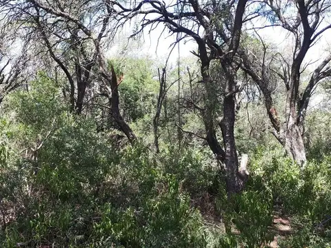 Terreno en Venta de 1000,0 m2