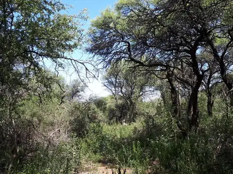 Vendo lotes con hermosa vegetación desde 1.000m² en el Rincón, San Marcos Sierras