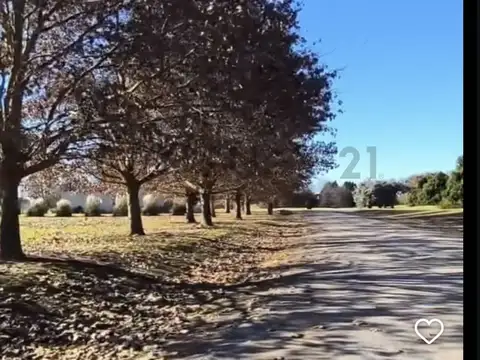 CHACRAS LA PRIMAVERA GOLF LOTE , Piso 0