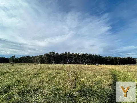 Terreno en venta - 13.300Mts2 - San Miguel del Monte