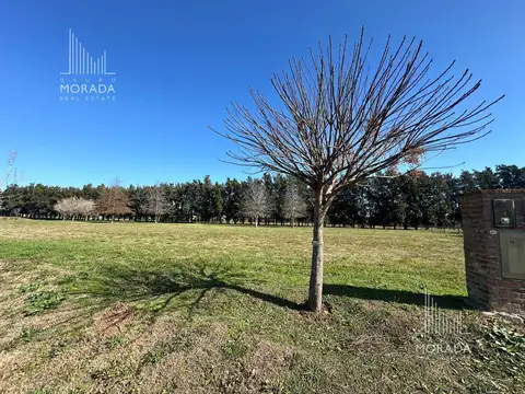 Campos Fincas Exclusivas Cardales 85