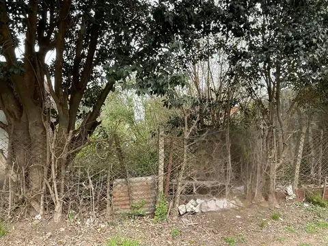Juan Bautista Alberdi al 800