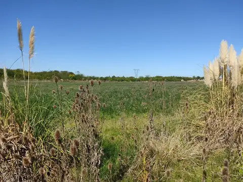 Ruta 75, Campo de casi 6 hás.