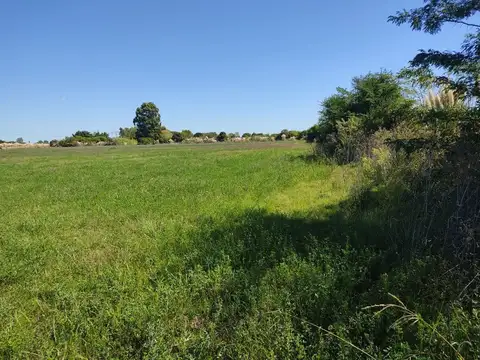 Ruta 75, Campo de casi 6 hás.