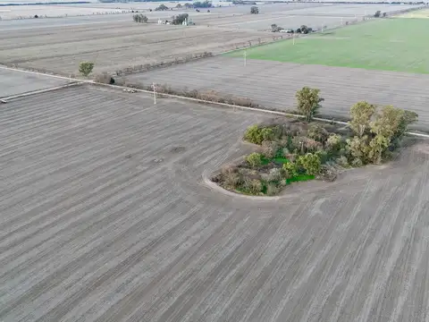 Campo Agrícola 43,92 ha – Suelo Clase I, II y III – San Vicente, Santa Fe