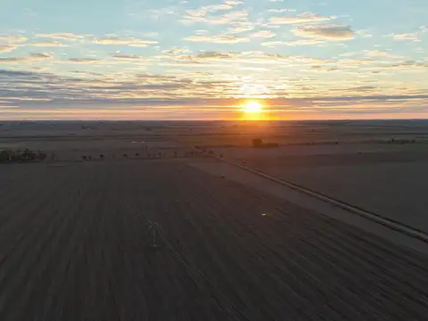 Campo Agrícola 43,92 ha – Suelo Clase I, II y III – San Vicente, Santa Fe