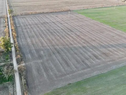 Campo Agrícola 43,92 ha – Suelo Clase I, II y III – San Vicente, Santa Fe