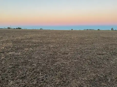 Campo Agrícola 43,92 ha – Suelo Clase I, II y III – San Vicente, Santa Fe