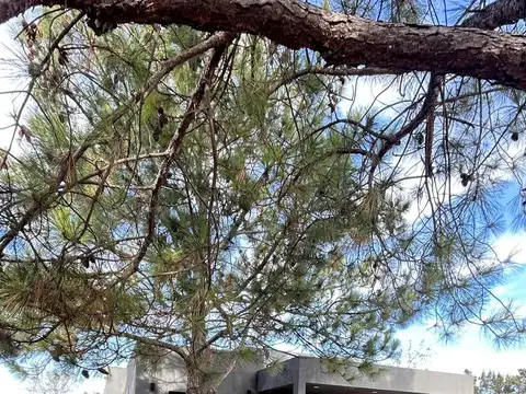 CASA 3 AMBIENTES EN VENTA, BARRIO EL CAMPO, LOS CARDALES