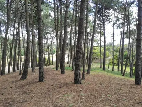 Terreno en Venta 10  mts Fondo