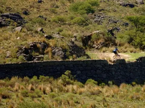 Alpa Corral