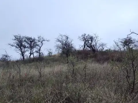 Terreno en Venta de 4100,0 m2