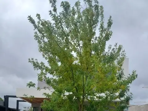 Casa  en Venta en Puertos del Lago, Araucarias