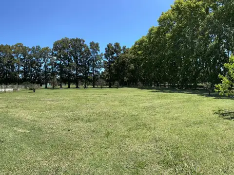 azahares del parana fighiera