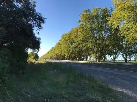 Terreno en Venta de 11700,0 m2