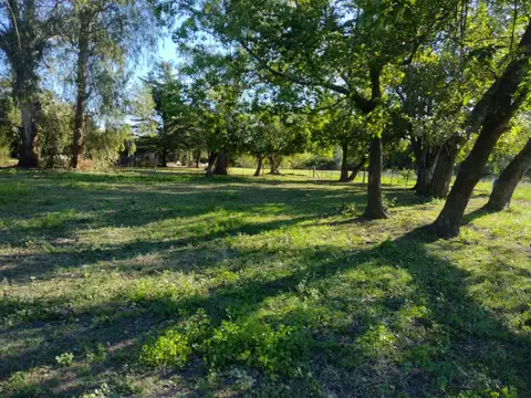 Ruta Nac Nº 8 100