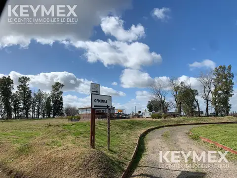 Terreno en Venta de 300,0 m2