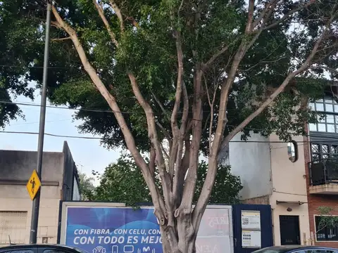 Terreno en Alquiler en Floresta, $ 840.000