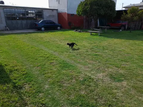 Ramon Carrillo e/ Pedro Luro y 25 de Mayo