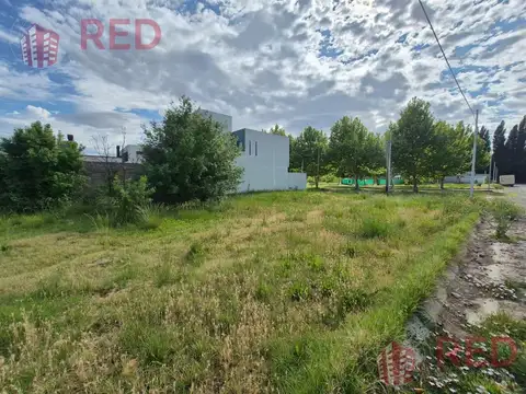 Terreno en Venta 30  mts Fondo