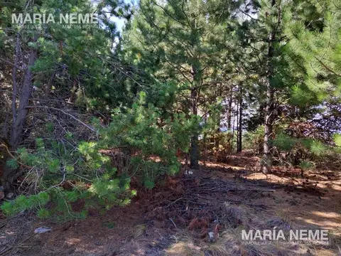 Terreno en Venta de 1037,0 m2