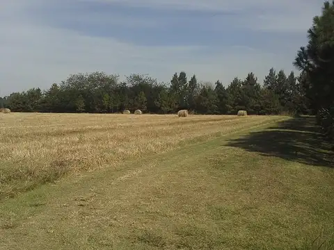 Hectáreas en venta en Marcos Paz