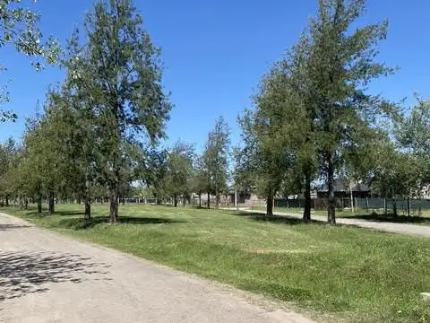 Terreno en Venta de 522,0 m2