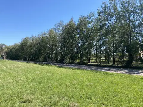 Tierra de sueños III, Roldan