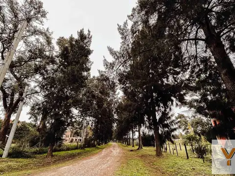 Terreno en venta - 7.916Mts2 - Coronel Brandsen