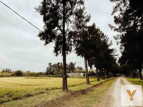 Estancia Las Malvinas - Los Álamos