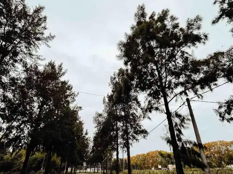 Estancia Las Malvinas - Los Álamos