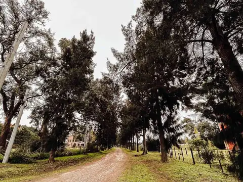 Terreno en venta - 7.916Mts2 - Coronel Brandsen