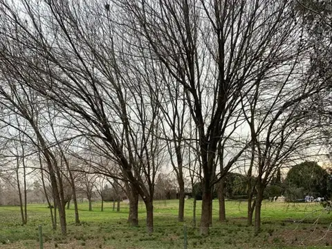 Terreno en Venta en San Francisco, USD 85.000