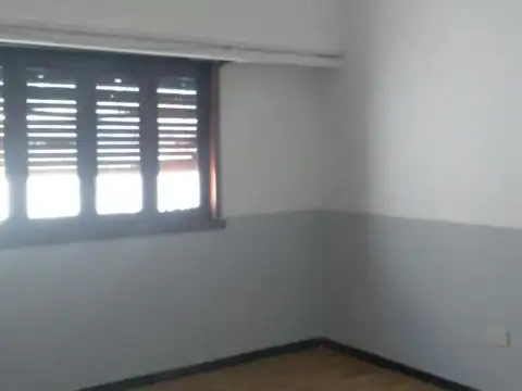 Campichuelo 4900
