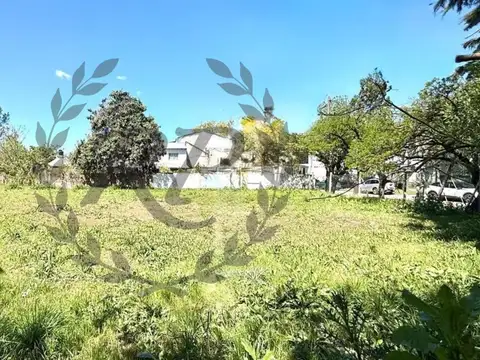 Terreno Sobre Esq. Ruta 25