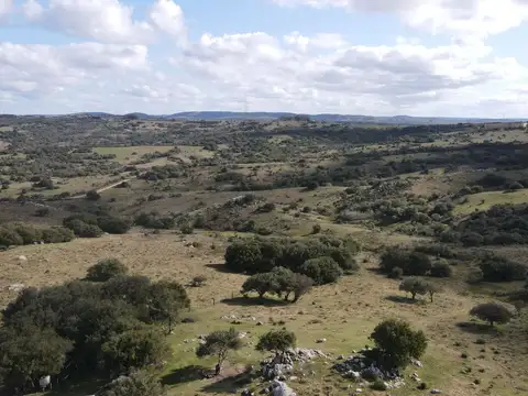 Quinta en Venta en Aigua, USD 65.000