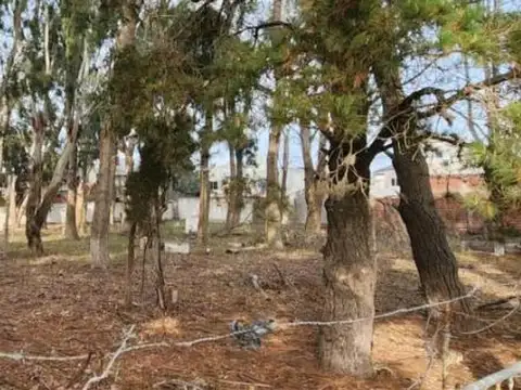 Gaboto e/ Garay y Santa María de Oro