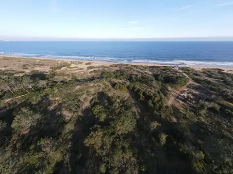 Terreno en Venta en Punta Ballena, USD 1.650.000