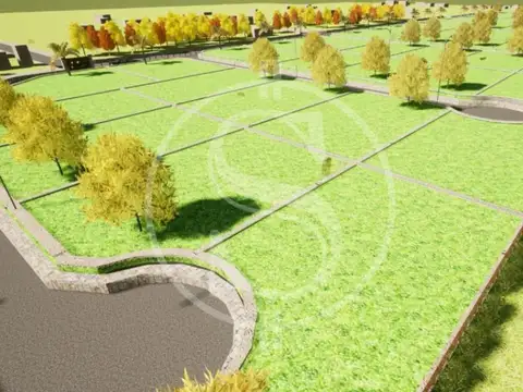 CAMPO DESARROLLO INMOBILIARIO EXALTACION DE LA CRUZ