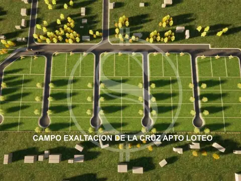 CAMPO DESARROLLO INMOBILIARIO EXALTACION DE LA CRUZ